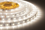  Лента светодиодная ELF 300SMD диодов (2835), 24В, 5м, белый дневной 5000-5500К