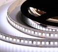 Лента светодиодная ELF 980SMD диодов (2835), 24В, 5м, ГИПЕР, белый 6500-7000К