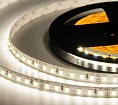 Лента светодиодная ELF 600SMD диодов (2835), 24В, 5м, белый дневной 5000-5500К