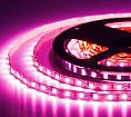 Лента светодиодная ELF, 480SMD (2835), 12В, 120град, 5м, розовая