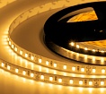 Лента светодиодная ELF 600SMD диодов (2835), 24В, 5м, белый теплый 2800-3300К
