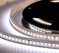 Лента светодиодная ELF 960SMD диодов (2835), 24В, 5м, ЭКСТРА, белый 6500-7000К