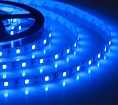 Лента светодиодная ELF 300SMD диодов (2835), 12В, 5м, синяя