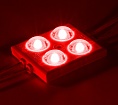 Модуль светодиодный ELF SOL+, 4SMD диод 2835, красный