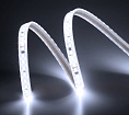 Лента светодиодная ELFLED 120SMD диодов (2835), 220В, IP67, 1м, белый 6500-7000К
