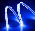 Лента светодиодная ELFLED 120SMD диодов (2835), 220В, IP67, 1м, синий