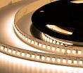 Лента светодиодная ELF 960SMD диодов (2835), 24В, 5м, ЭКСТРА, белый теплый 2800-3300К