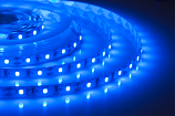 Лента светодиодная герметичная ELF GERMES, 300SMD (2835), 12В, IP65, 5м, синяя
