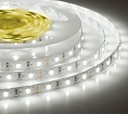 Лента светодиодная ELF 300SMD диодов (2835), 12В, 5м, белый 6500-7000К